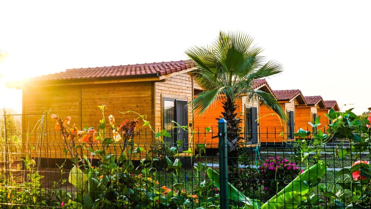 Lemon Garden Lodge Чирали Екстер'єр фото