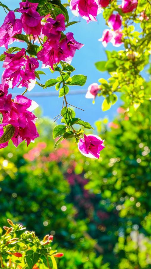Lemon Garden Lodge Чирали Екстер'єр фото