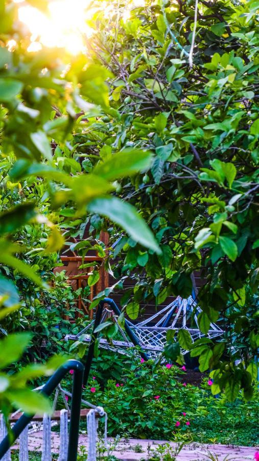 Lemon Garden Lodge Чирали Екстер'єр фото