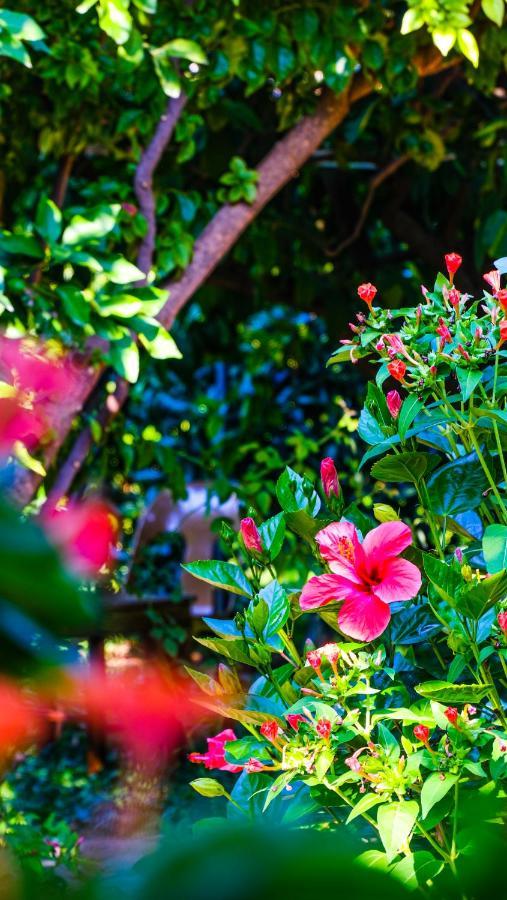 Lemon Garden Lodge Чирали Екстер'єр фото
