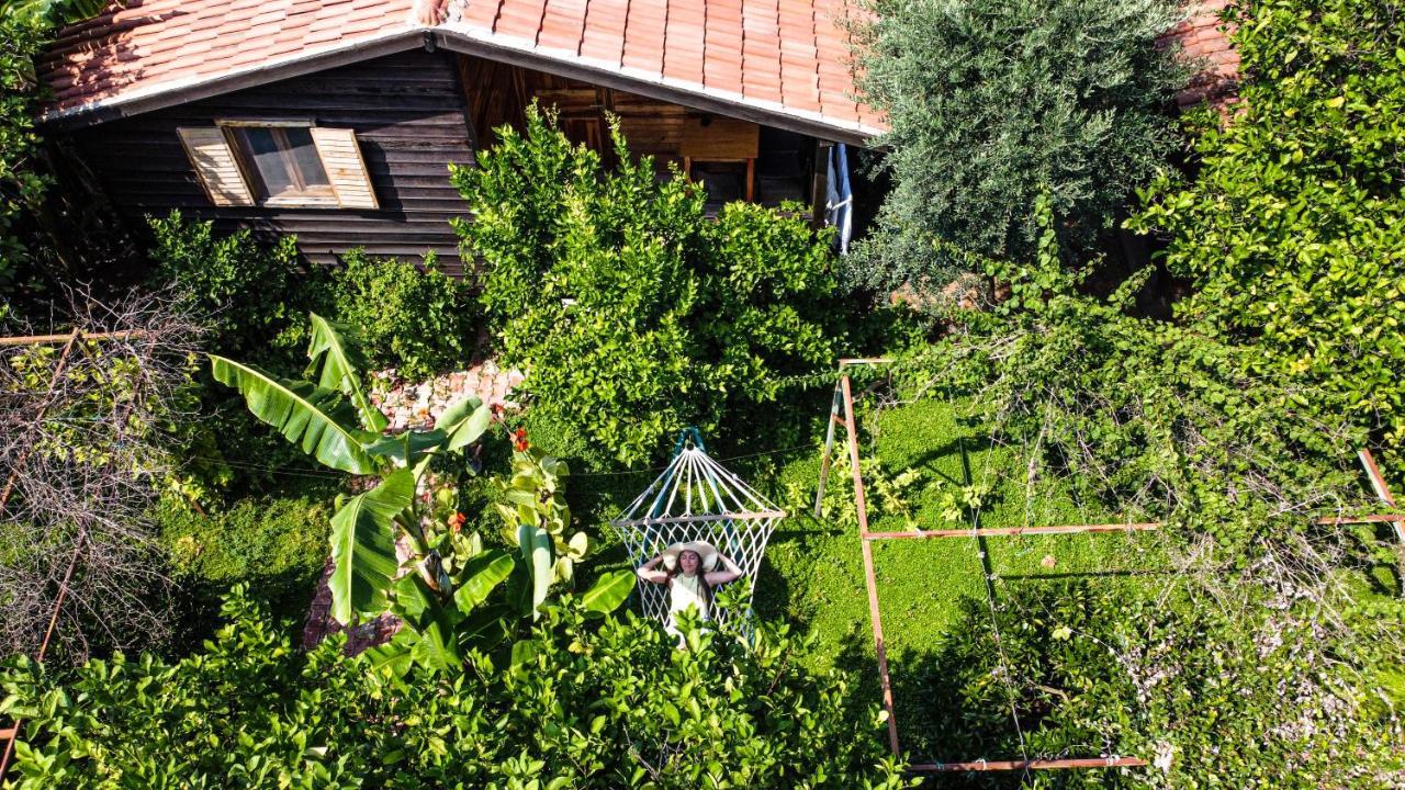 Lemon Garden Lodge Чирали Екстер'єр фото