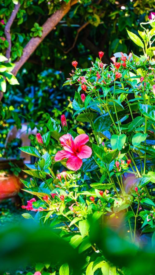 Lemon Garden Lodge Чирали Екстер'єр фото