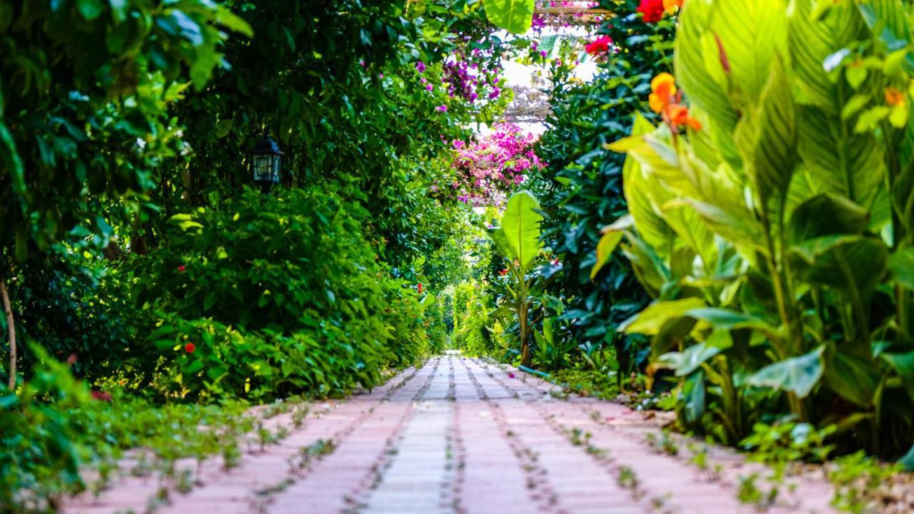 Lemon Garden Lodge Чирали Екстер'єр фото