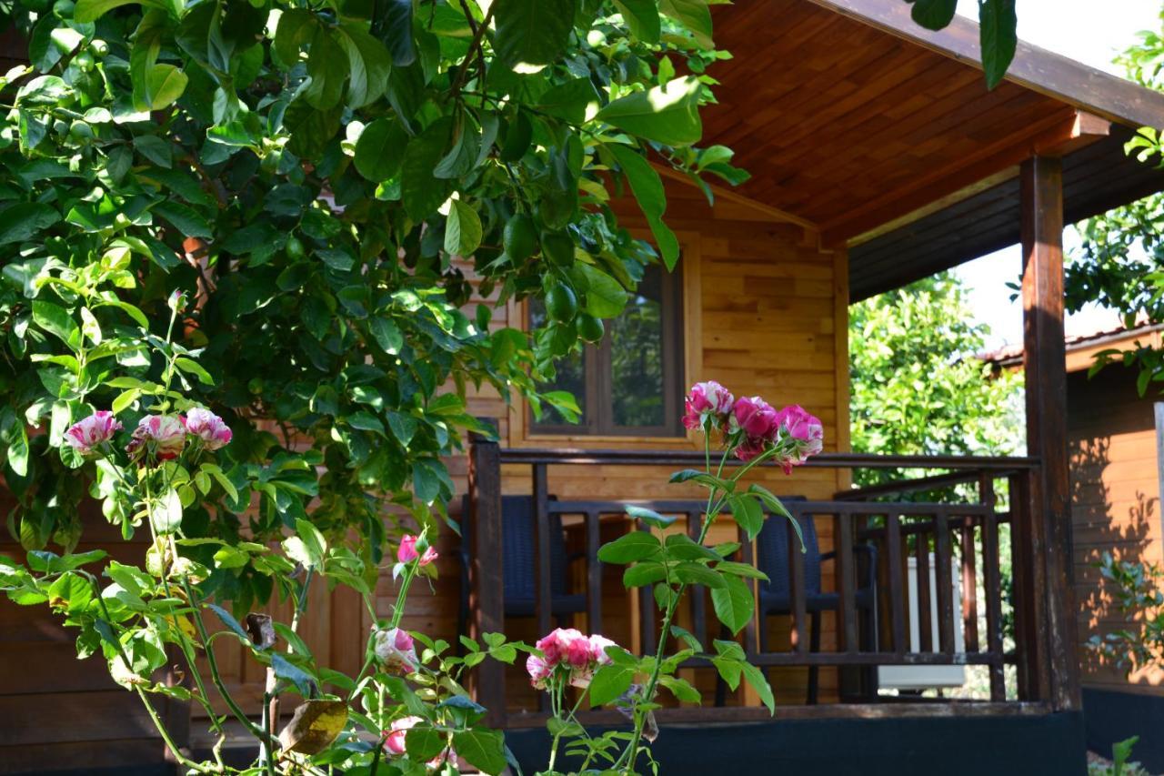 Lemon Garden Lodge Чирали Екстер'єр фото