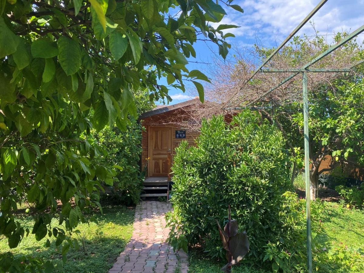Lemon Garden Lodge Чирали Екстер'єр фото