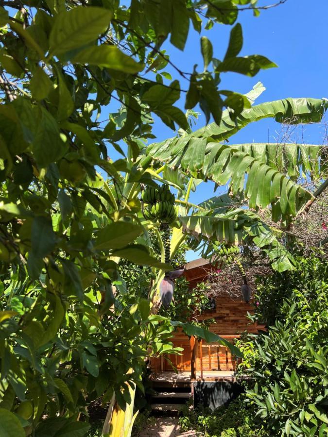 Lemon Garden Lodge Чирали Екстер'єр фото