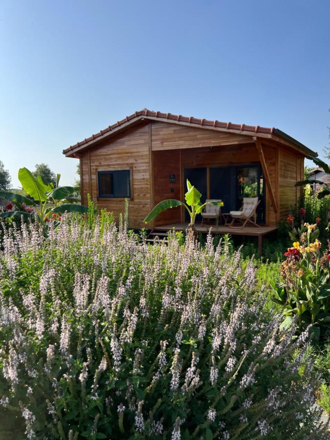 Lemon Garden Lodge Чирали Екстер'єр фото