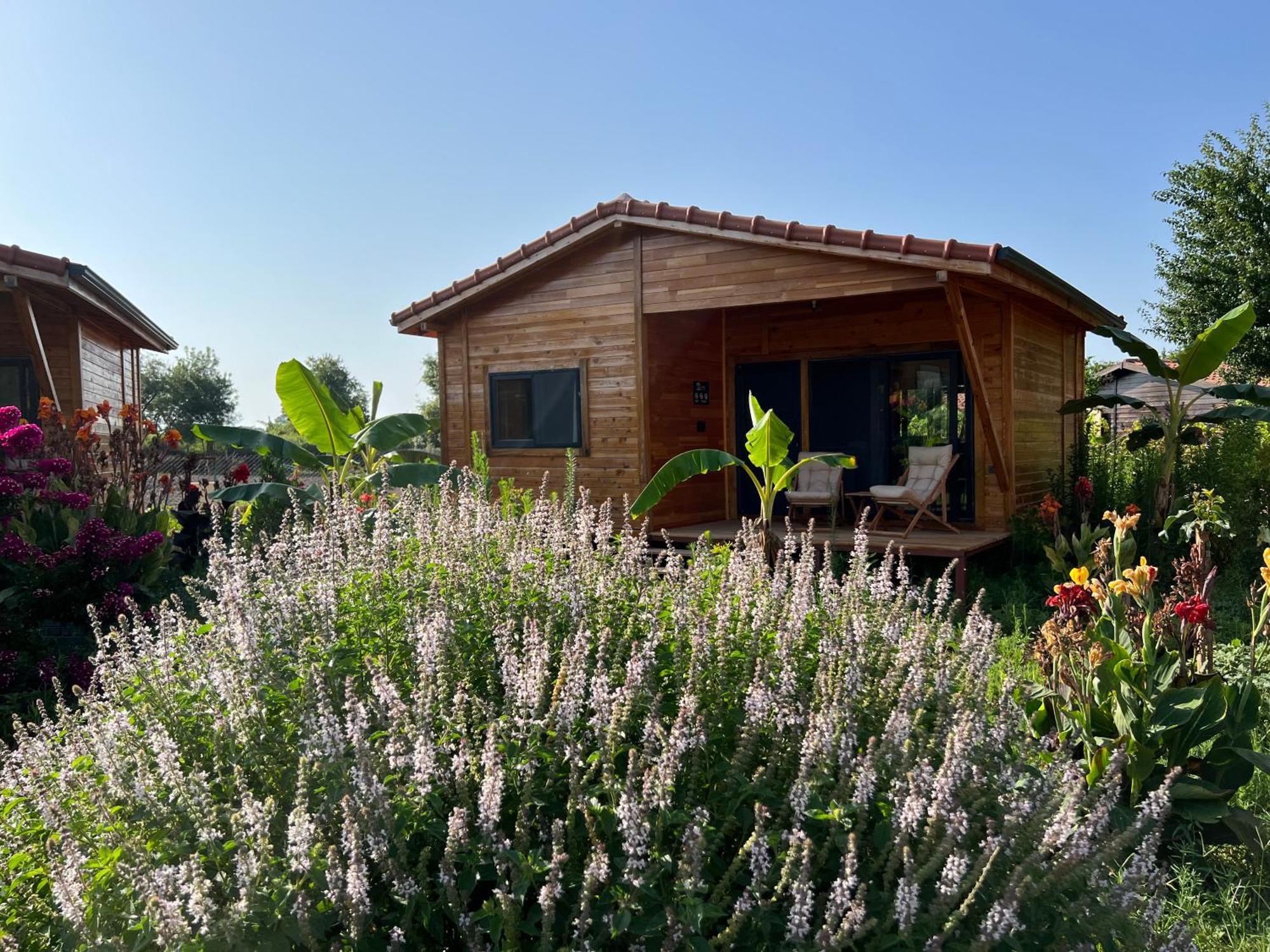 Lemon Garden Lodge Чирали Екстер'єр фото