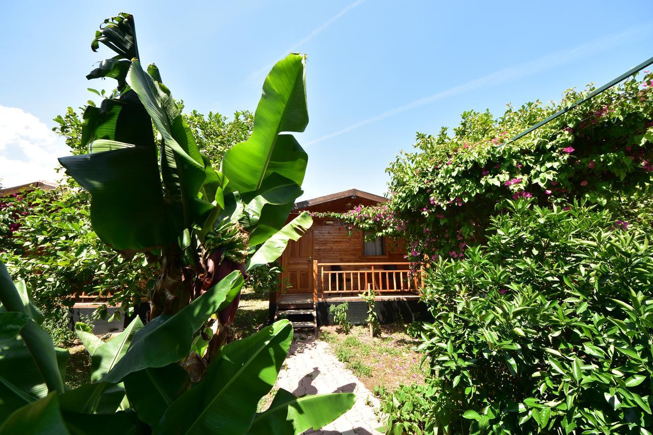 Lemon Garden Lodge Чирали Екстер'єр фото