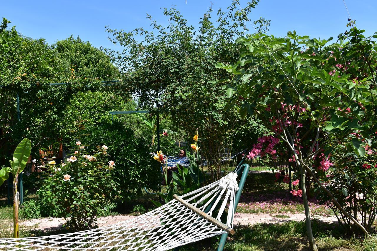 Lemon Garden Lodge Чирали Екстер'єр фото